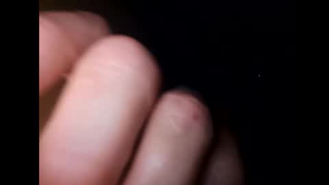 whiteoak19522 online show from 04-10-26, 09:47