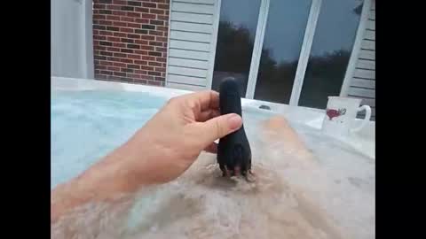 whiteoak19522 online show from 04-18-26, 10:41