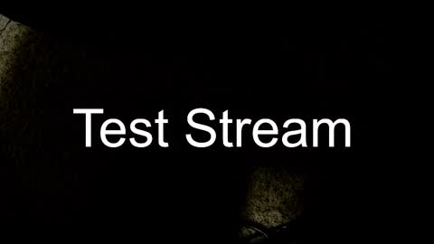Snapshot of whowhat314159 chatting on 10-30-25, 03:30 Will online show from 10-30-25, 03:30