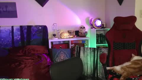 Snapshot of widthofapeach chatting on 07-21-26, 02:47 Gretchen Jimmy online show from 07-21-26, 02:47