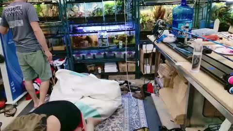 Snapshot of wifen_heels chatting on 06-07-26, 09:18 WifeNheels online show from 06-07-26, 09:18