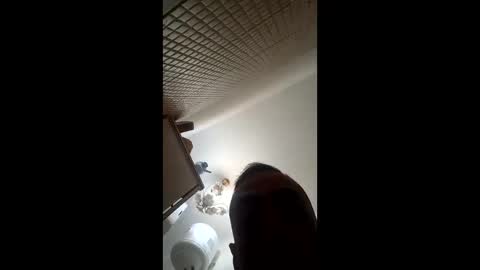 the alpha man online show from 03-08-26, 02:04