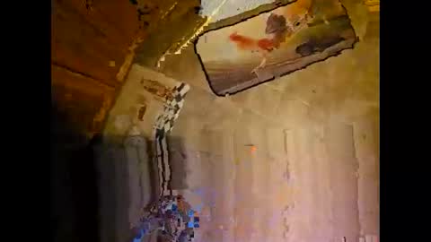 wildman2900 online show from 12-08-24, 03:24