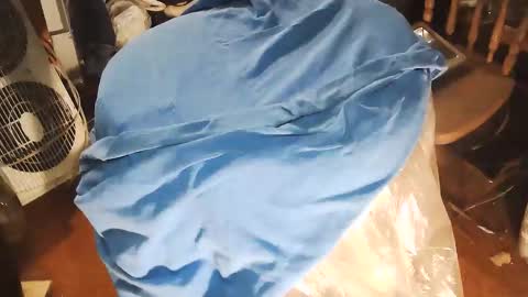 wildman6 online show from 01-10-26, 08:43