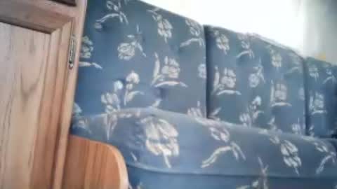 Snapshot of wildman6 chatting on 06-20-26, 12:41 wildman6 online show from 06-20-26, 12:41