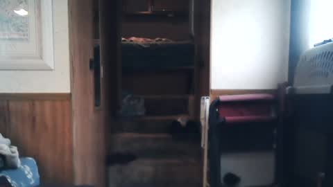 Snapshot of wildman6 chatting on 07-19-26, 12:42 wildman6 online show from 07-19-26, 12:42