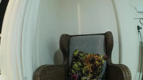 Wild Strawberry online show from 02-03-25, 02:47