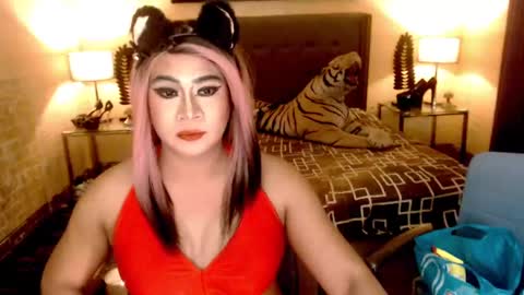 wildtransjhade online show from 01-06-25, 09:30