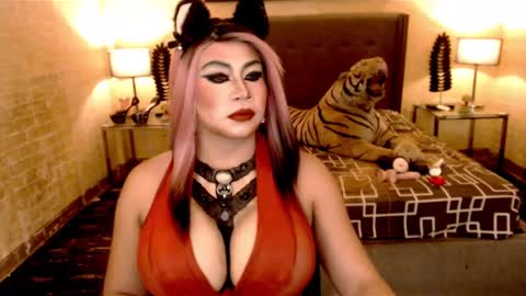 wildtransjhade online show from 01-18-25, 06:32