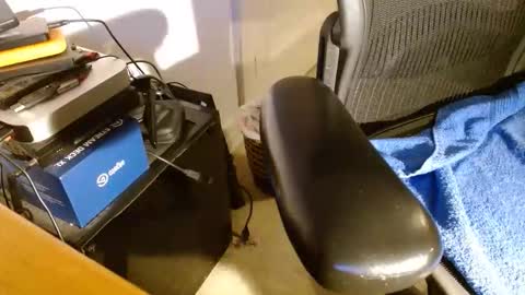 wildwills online show from 04-14-26, 12:38