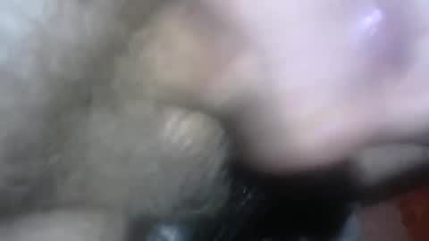 Snapshot of willcam22 chatting on 04-15-26, 03:08 willcam22 online show from 04-15-26, 03:08