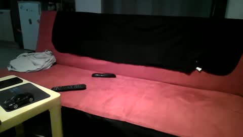 willdu33 online show from 02-20-25, 01:51