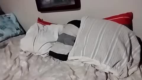 Snapshot of willfast chatting on 10-07-25, 07:05 willfast online show from 10-07-25, 07:05