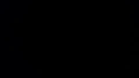 williewants online show from 02-13-26, 10:22