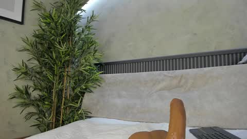 Snapshot of willow_hendrix chatting on 02-24-25, 04:04 Ms Willow online show from 02-24-25, 04:04