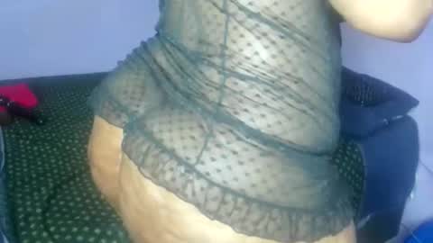 wilmaassylum online show from 11-10-25, 04:22