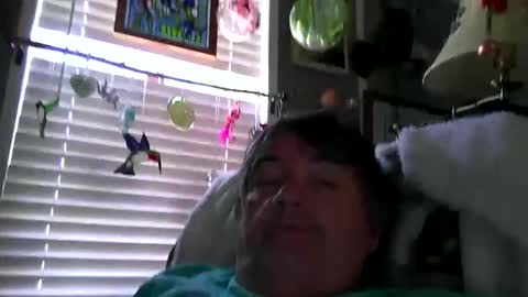 Snapshot of wldlife chatting on 05-28-26, 05:10 wldlife online show from 05-28-26, 05:10