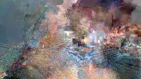 wolf boy online show from 02-02-26, 03:49