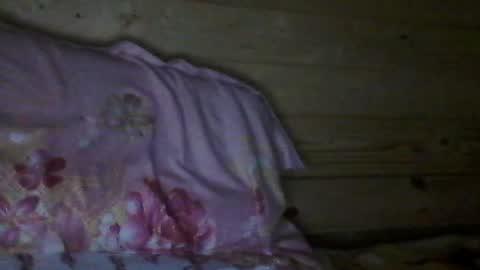 Snapshot of wolfvili chatting on 07-17-26, 04:45 Vili online show from 07-17-26, 04:45
