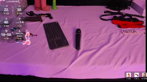 wonderkloe_ online show from 07-29-26, 08:18