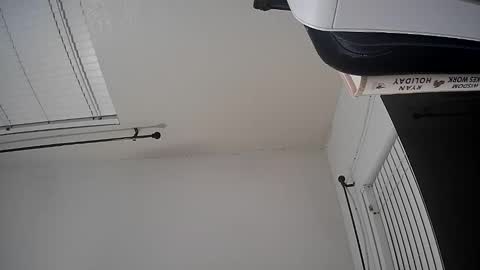 WoodCouldShould86 online show from 01-15-26, 08:41