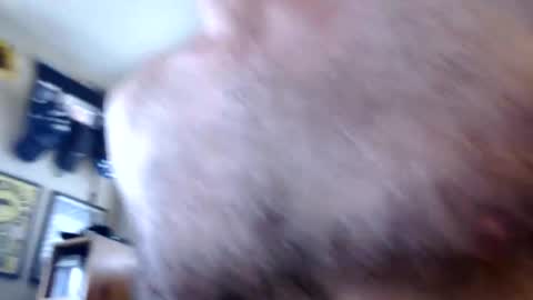 WoodieSays online show from 02-13-26, 04:36