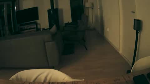 woodwurm and Snoeske online show from 12-15-25, 05:44