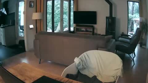 woodwurm and Snoeske online show from 02-19-26, 07:26