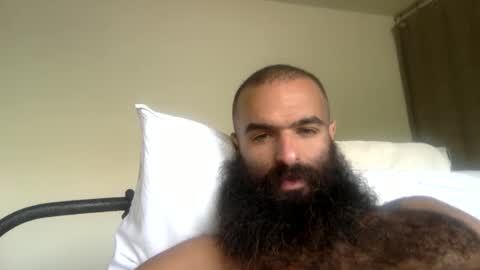 woof_wolf37 online show from 04-21-26, 04:12