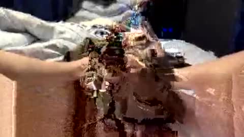 workplace_proximity_associate online show from 09-28-25, 12:10