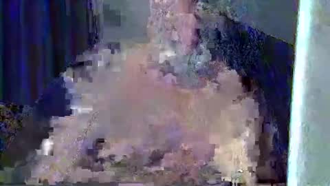 xavireig online show from 04-02-26, 11:02