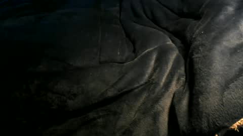 Snapshot of xbigtymerx chatting on 01-06-25, 12:35 Toke online show from 01-06-25, 12:35