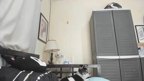 Snapshot of xdreamangel chatting on 01-03-25, 07:16 xdreamangel online show from 01-03-25, 07:16