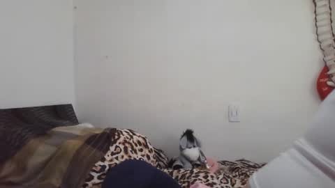 Snapshot of xime5144838 chatting on 02-16-25, 09:16 Ximena online show from 02-16-25, 09:16