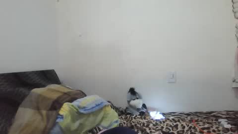 Snapshot of xime5144838 chatting on 02-23-25, 01:35 Ximena online show from 02-23-25, 01:35