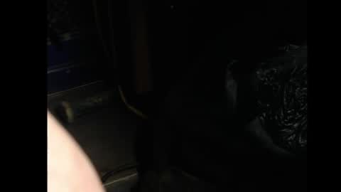 xloadzzz online show from 08-05-26, 10:40