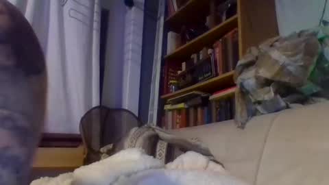 Snapshot of xlpack69 chatting on 12-17-24, 11:16 John online show from 12-17-24, 11:16