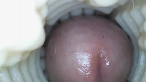 Snapshot of xoxowtf chatting on 03-15-26, 05:41 xoxowtf online show from 03-15-26, 05:41