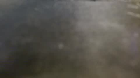 cum4you online show from 05-01-26, 03:22