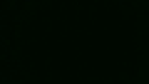 Kelsey online show from 12-14-24, 11:34