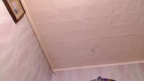 isa and gonzo online show from 12-20-24, 11:54