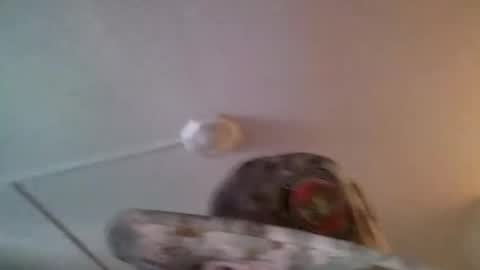 Snapshot of yahushuaha chatting on 09-09-25, 07:13 yahushuaha online show from 09-09-25, 07:13