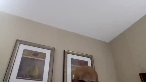 YallFav0rit3couple online show from 04-08-26, 04:45