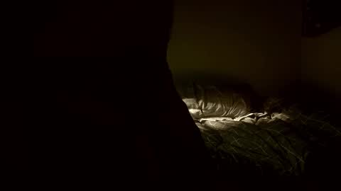 yaradeeyarama online show from 02-08-26, 03:48