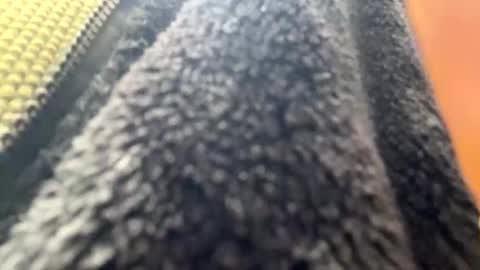 yasarsimo99154258 online show from 04-07-26, 10:59