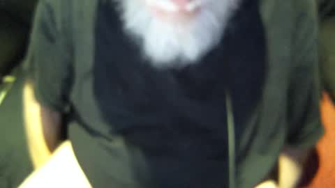 .     y e l l o w s n a k e s       . online show from 09-30-25, 07:57