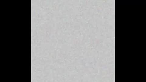 .     y e l l o w s n a k e s       . online show from 11-21-25, 12:37