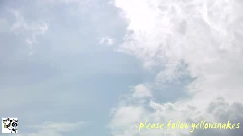 .     y e l l o w s n a k e s       . online show from 06-04-26, 05:02