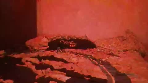 yeshuaaa999 online show from 11-26-25, 08:37