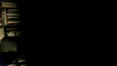 yessex247 online show from 04-17-26, 01:52